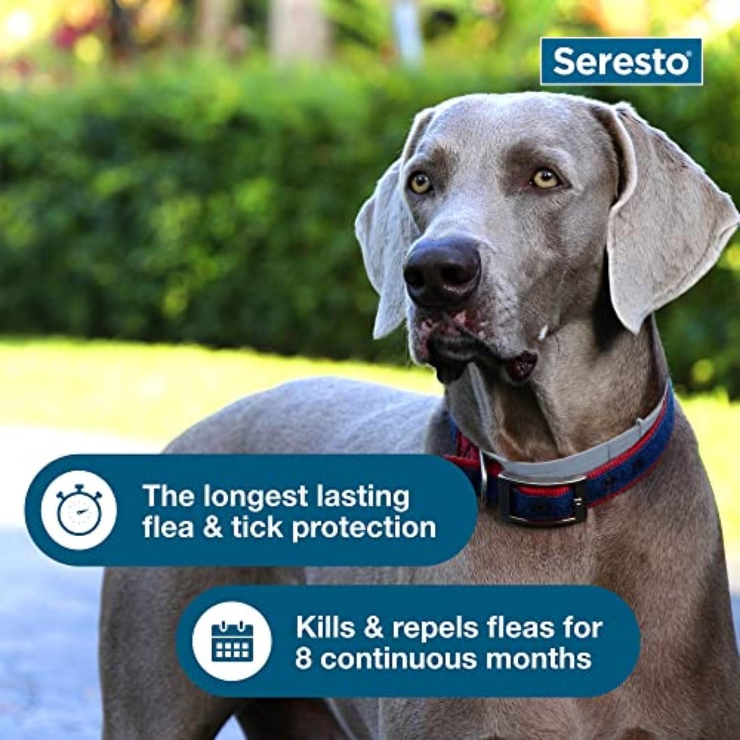 Seresto - Flea & Tick Preventative Collar for Large Dogs ( 30% Off ) (Buy 1 get 1 Free)