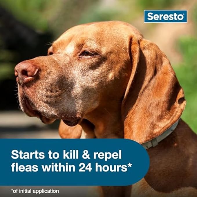 Seresto - Flea & Tick Preventative Collar for Large Dogs ( 30% Off ) (Buy 1 get 1 Free)