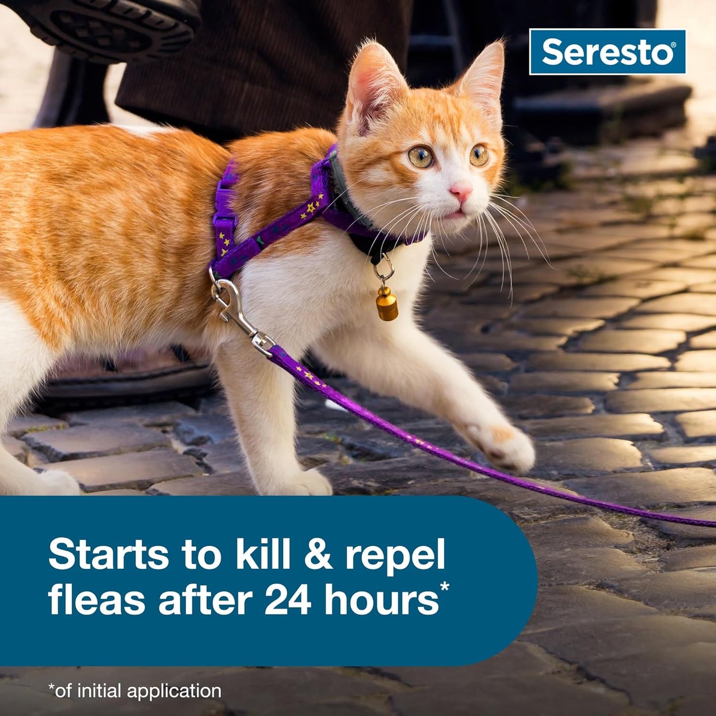 Seresto Cat Vet-Recommended Flea & Tick Treatment  ( 30% Off )