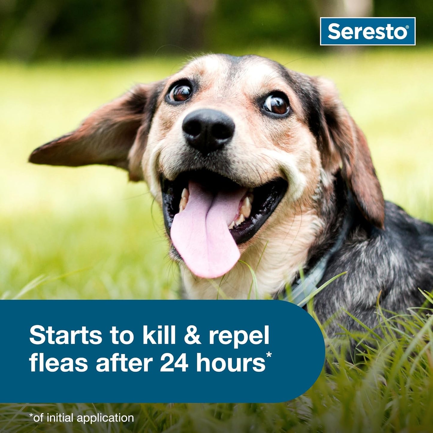 Seresto Small Dog Vet-Recommended Flea & Tick ( 30% Off )