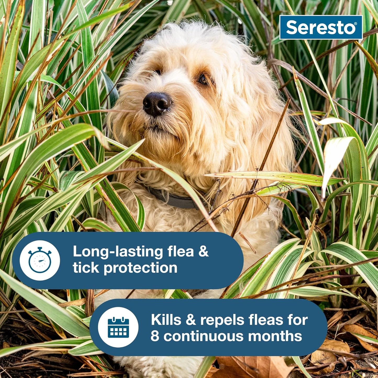 Seresto Small Dog Vet-Recommended Flea & Tick ( 30% Off )